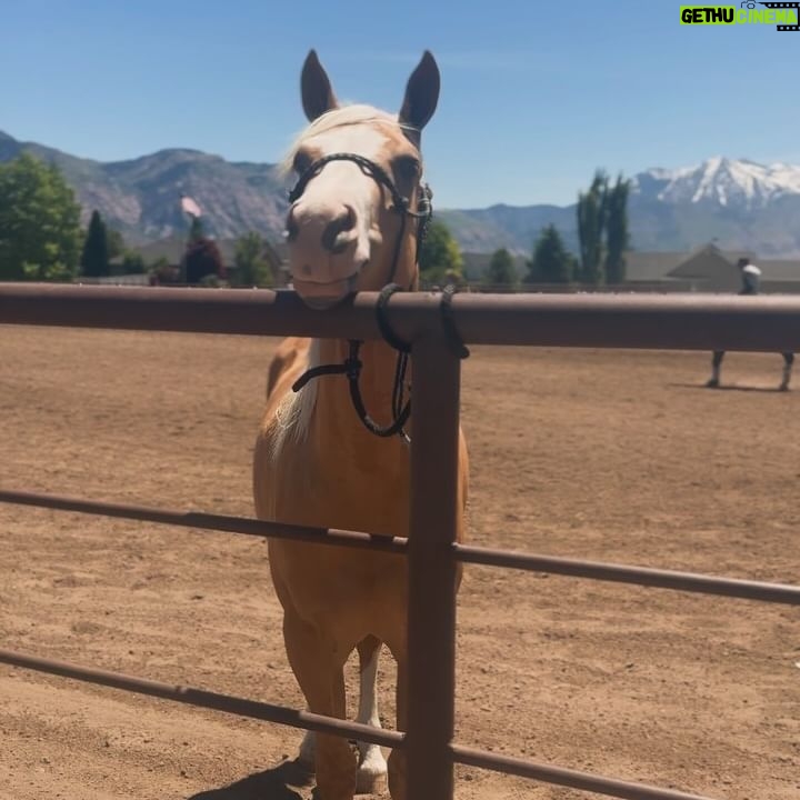 Kim Clavel - 3 Likes - La famille, des chevaux et un paysage à couper le souffle, quoi demander de mieux pour se ressourcer! Merci magnifique Utah 🏔️🐴👯♀️☀️
#utah #usa #hiking #reininghorse #vacation #travel