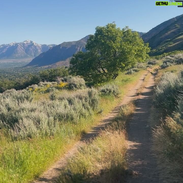 Kim Clavel - 3 Likes - La famille, des chevaux et un paysage à couper le souffle, quoi demander de mieux pour se ressourcer! Merci magnifique Utah 🏔️🐴👯♀️☀️
#utah #usa #hiking #reininghorse #vacation #travel