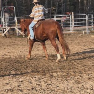 Kim Clavel Instagram - A casual reminder that life can be so lovely 🤍🐴🐐🥊☀️

#photodump #boxing #horsebackriding #goodlife #femaleathlete #trainingcamp
