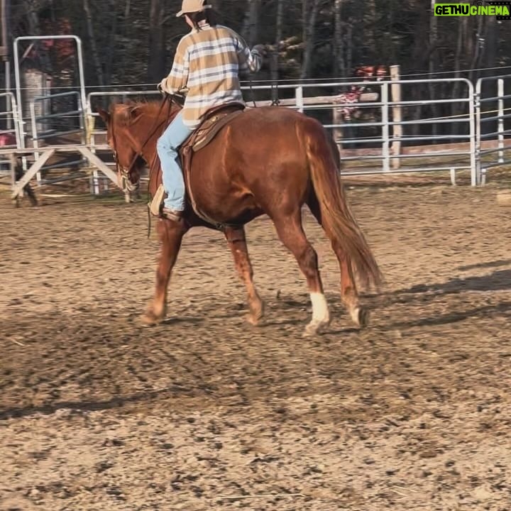 Kim Clavel - 2.1K Likes - A casual reminder that life can be so lovely 🤍🐴🐐🥊☀️
#photodump #boxing #horsebackriding #goodlife #femaleathlete #trainingcamp