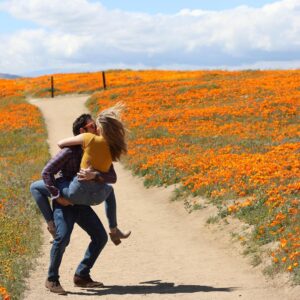 Kim Matula Instagram - a #superbloom love story...