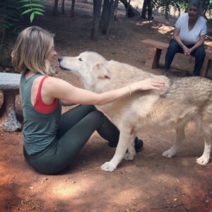 Kim Matula Instagram - I went to Sedona this weekend and all my dreams came true 🐺 #wolfsanctuary