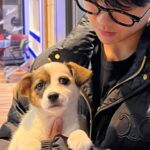 Kim Eana Instagram - 시루야 오늘 프로님이랑 부엉이들이랑 내 기운 받아서 진짜 진짜 좋은 가족 꼭 만나! (별밤 홍재정작가가 누군가 임보중인 강아지를 임보중이라 오프닝때 같이 있었어요)