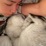 Kim Eana Instagram - 싱어게인 녹화 끝나자마자 몸살기가 왔고 어제 비로 갈근탕 먹고 오늘 다행히 노 스케줄이라 뒹굴. 봉삼이가 효도해서 너무 행복 휴식중. 몸살기는 가볍게 온듯.