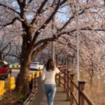 Kim Ha-neul Instagram - 봄봄봄, 봄이 왔어요~🌸