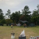 Kim Ha-neul Instagram - 캠핑가고 싶은 날씨~🏕️