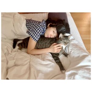 Kim Hee-ae Instagram - .
요즘 근황 -> 춘식이 엄마 😺
평화로운 제주에서의 일상을 가득 채워주는 우리 집 냥이에요 😻😽

춘식이가 단잠을 깨워도 그저 사랑스러운 집사의 삶 🤍

#김희애 #KIMHEEAE #냥집사
#춘식이는 #이불정리면제 #귀여우니까 @yg_stage