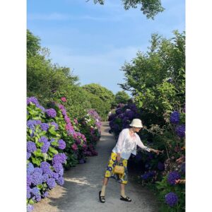 Kim Hee-ae Instagram - .
오랜만에 전하는 일상 🤍

지금 제주는 수국의 계절

#KIMHEEAE #김희애 @yg_stage