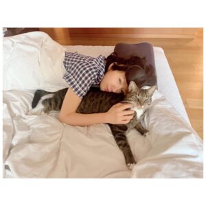 Kim Hee-ae Instagram - .
요즘 근황 -> 춘식이 엄마 😺
평화로운 제주에서의 일상을 가득 채워주는 우리 집 냥이에요 😻😽

춘식이가 단잠을 깨워도 그저 사랑스러운 집사의 삶 🤍

#김희애 #KIMHEEAE #냥집사
#춘식이는 #이불정리면제 #귀여우니까 @yg_stage