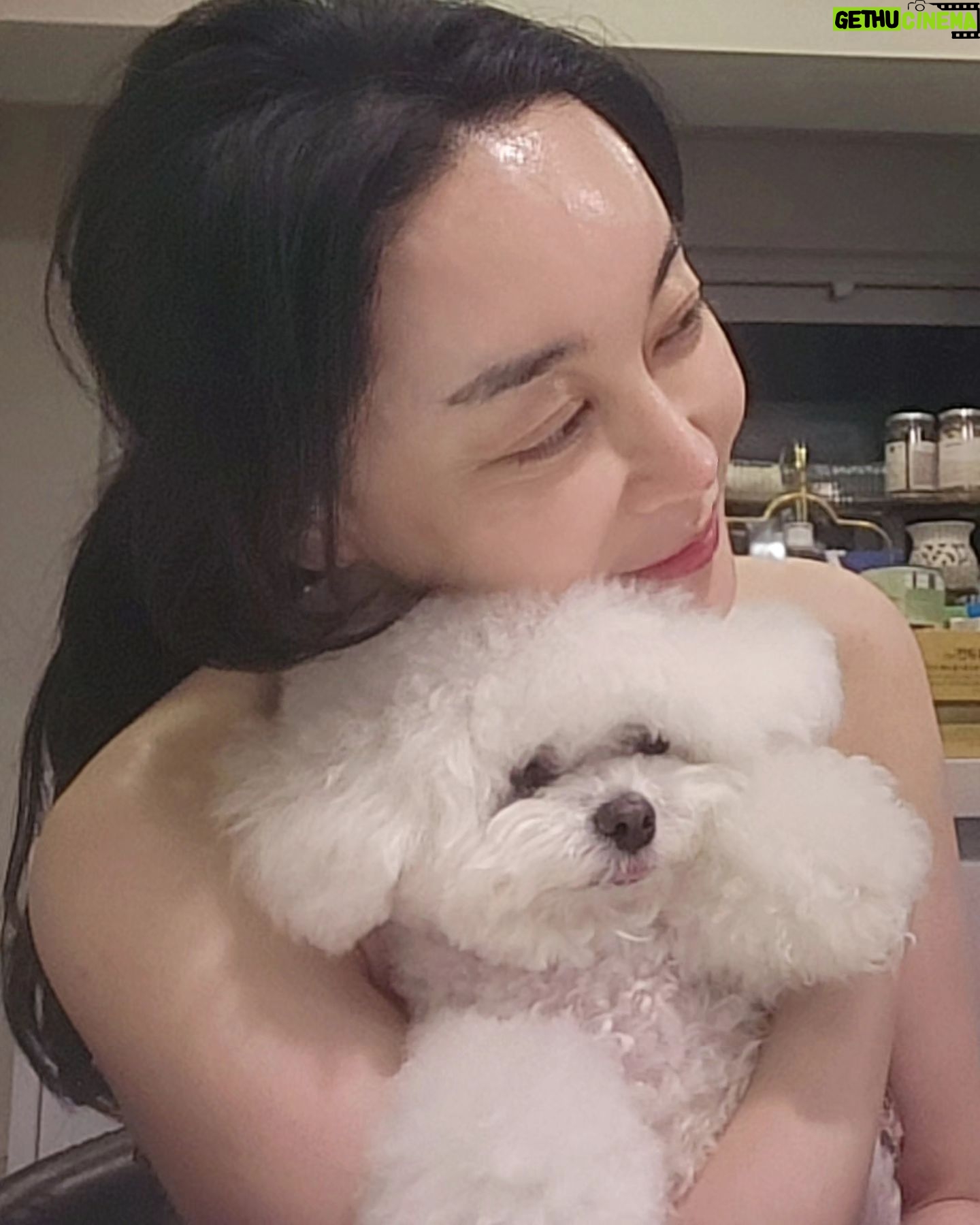 Kim Hye-eun - 5.2K Likes - 눈띵띵 개구리왕눈이다.완전 부었다 .결코 이쁘진 않지만.사진찍어 이기분 기억하는걸로.
오늘은 내가 참 근사하다.왜냐..죽고 싶을 정도로 찍기싫은 오열씬(저주하는씬).
와~~~진심으로 잘 끝냈다.내게 박수를..아니 같이 연기해주시느라 수고해주신
우리 디렉터 하나님께 박수를♡
이 맛에 연기한다.배우되길 잘했다 생각하는 밤.혼자 와인한잔 할끄나 어쩔끄나.
오늘같은 날 없다.