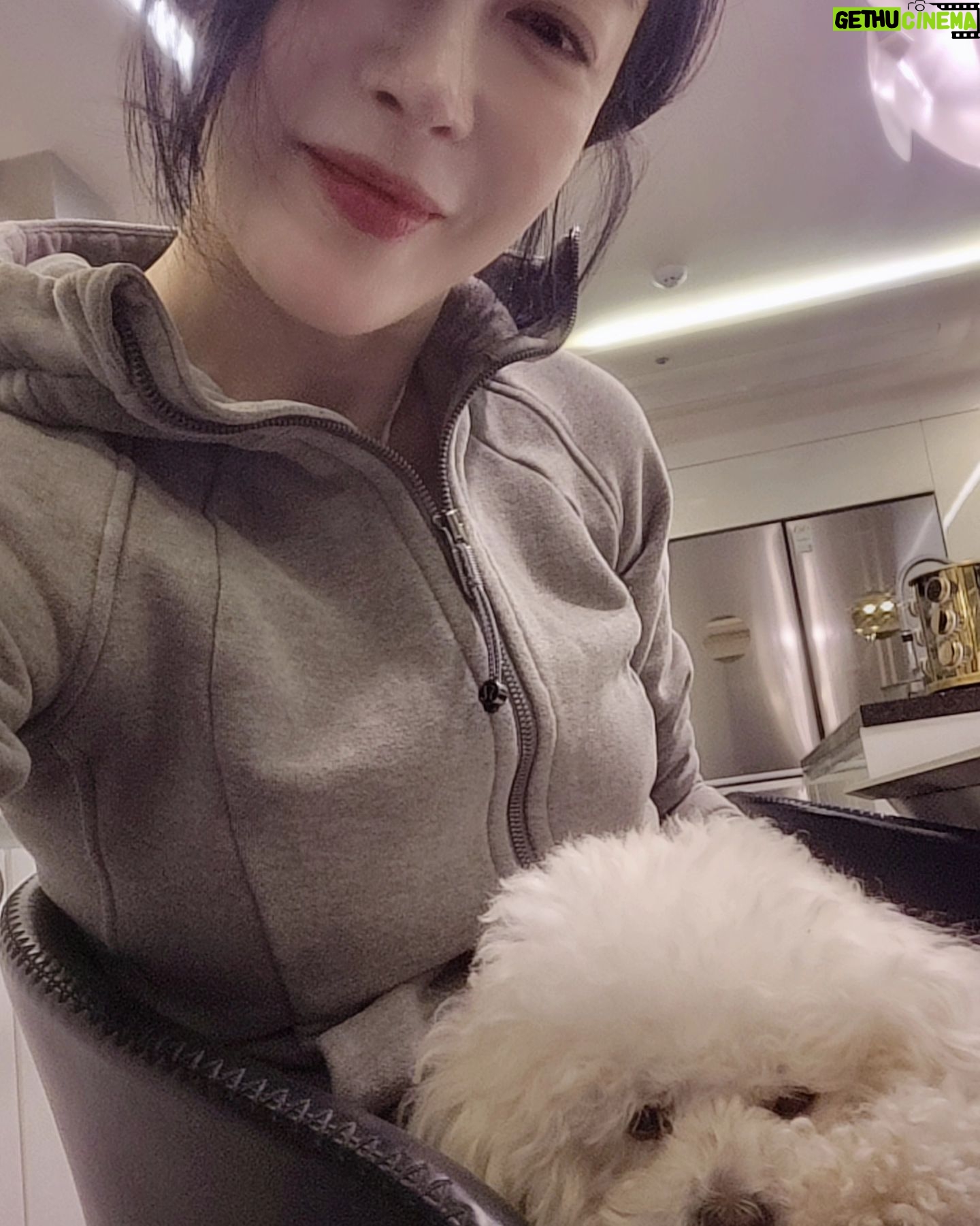 Kim Hye-eun Instagram - 꼬질꼬질 데이지 ♡ 이런 날도 있어. 하지만 씻으면 금방 이뻐져. 우리 인생도 그래.