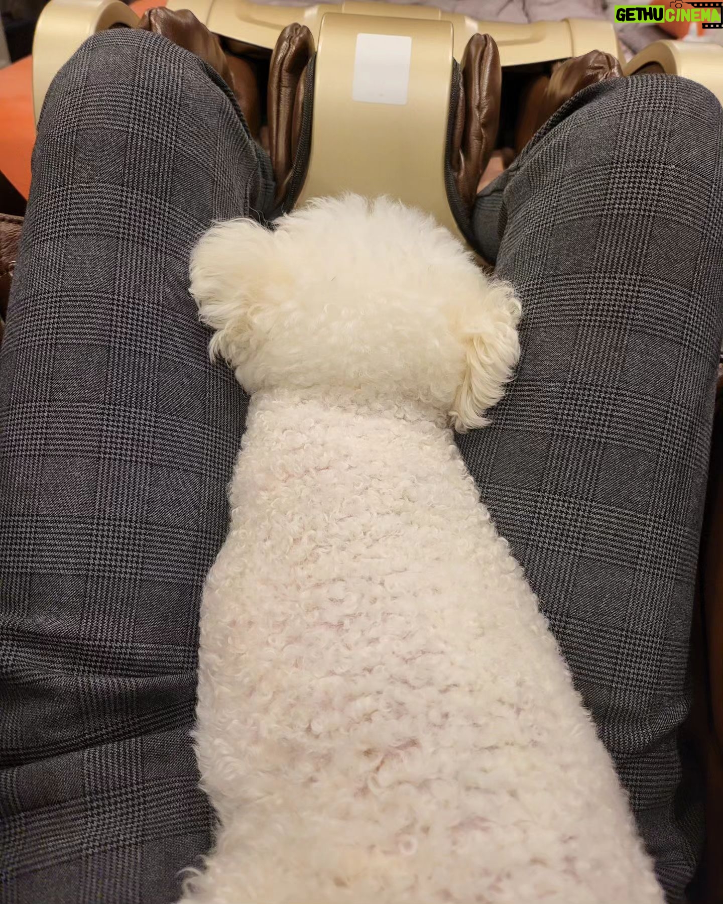Kim Hye-eun Instagram - 안마받는데 요로구싶냐구 #daisy