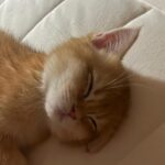 Kim Hye-jun Instagram – 기다렸어요 5월