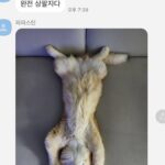 Kim Hye-jun Instagram – 네…
