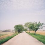 Kim Hye-jun Instagram - jiani film📸