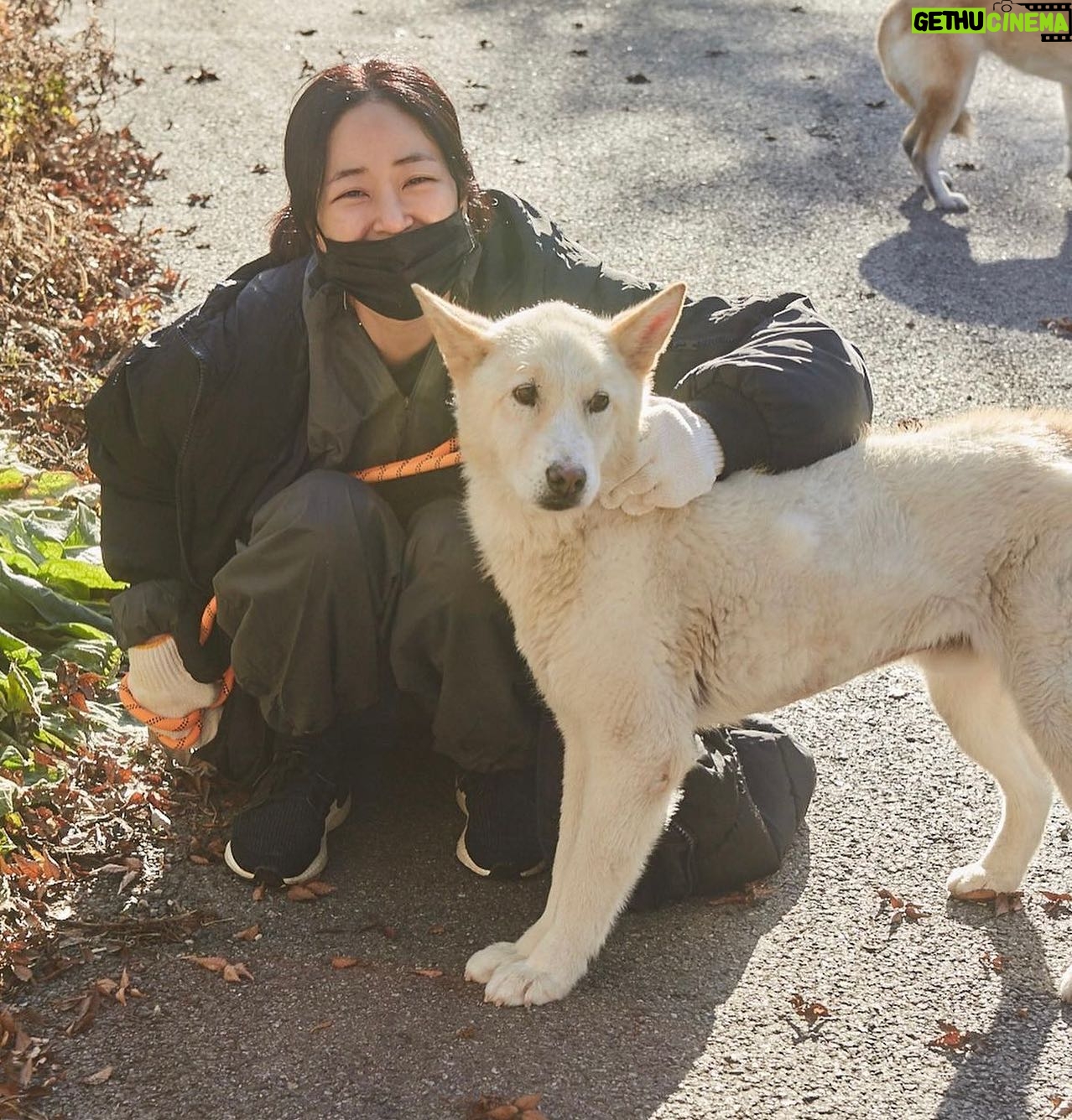 Kim Hyo-jin - 4.2K Likes - 김현성 실장님이 찍어준 사진. 순하디 순한 개들. 이 순한 애들이 개농장에서 구조되기 전까지 얼마나 두렵고 무서웠을까.