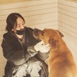 Kim Hyo-jin Instagram - 김현성 실장님이 찍어준 사진. 순하디 순한 개들. 이 순한 애들이 개농장에서 구조되기 전까지 얼마나 두렵고 무서웠을까.