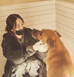 Kim Hyo-jin Instagram - 김현성 실장님이 찍어준 사진. 순하디 순한 개들. 이 순한 애들이 개농장에서 구조되기 전까지 얼마나 두렵고 무서웠을까.