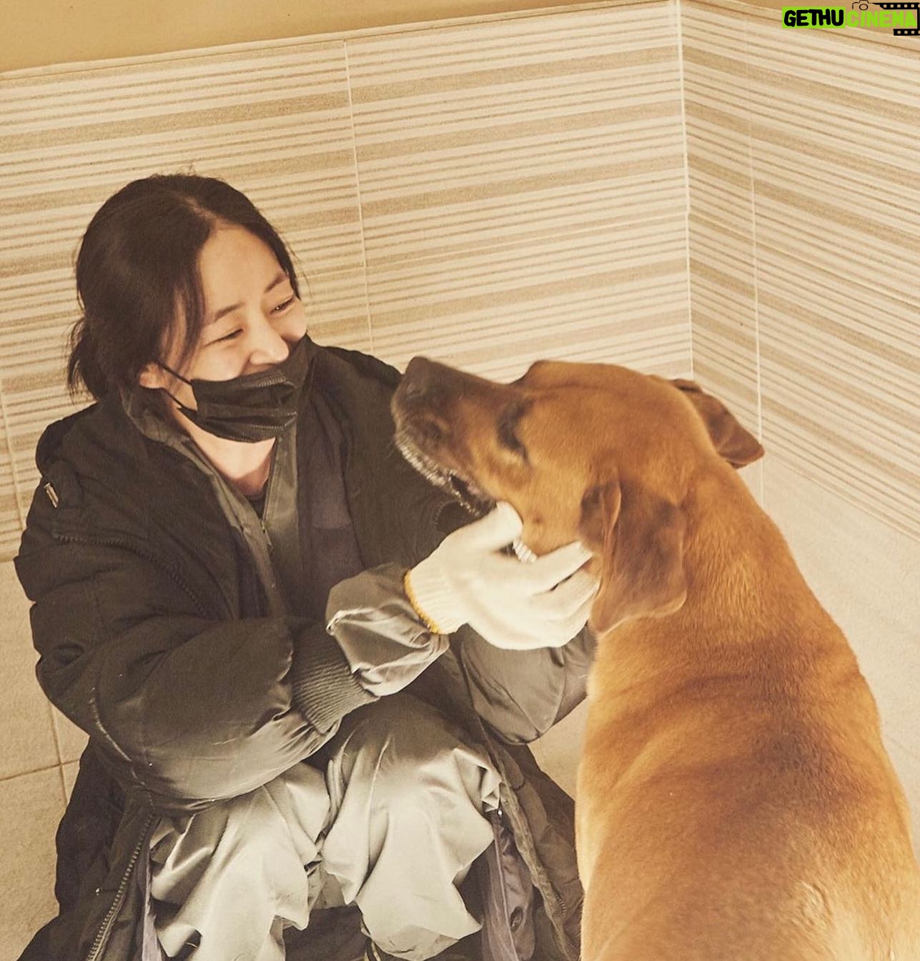 Kim Hyo-jin - 4.2K Likes - 김현성 실장님이 찍어준 사진. 순하디 순한 개들. 이 순한 애들이 개농장에서 구조되기 전까지 얼마나 두렵고 무서웠을까.
