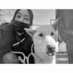 Kim Hyo-jin Instagram - 오보이와 갤러리아 파란 봉사단과 함께 동물자유연대 온센터에 다녀왔어요~~~ 온센터 시설도 좋고 관리도 너무 잘 되어있고 개들도 넘넘 순하고 💕 녹이와 산책후에 견사들을 깨끗하게 박박 닦아주었어요~ 입양이 확정된 아이들도 있었고, 노견이 될 때까지 입양이 안 된 아이들도 있었어요.. 반려동물을 가족으로 맞이 할 계획이신 분들은 꼭 동물보호소에서 입양을 해주시길~~~ 입양을 기다리는 너무나도 순한 아이들이 많습니다~~~ 💕🐶😽#11.30