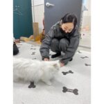 Kim Hyo-jin Instagram - 오보이와 갤러리아 파란 봉사단과 함께 동물자유연대 온센터에 다녀왔어요~~~ 온센터 시설도 좋고 관리도 너무 잘 되어있고 개들도 넘넘 순하고 💕 녹이와 산책후에 견사들을 깨끗하게 박박 닦아주었어요~ 입양이 확정된 아이들도 있었고, 노견이 될 때까지 입양이 안 된 아이들도 있었어요.. 반려동물을 가족으로 맞이 할 계획이신 분들은 꼭 동물보호소에서 입양을 해주시길~~~ 입양을 기다리는 너무나도 순한 아이들이 많습니다~~~ 💕🐶😽#11.30