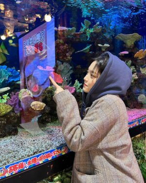 Kim Hyun-jin Instagram - 🐠