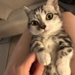 Kim Hyun-jin Instagram -