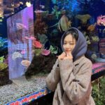 Kim Hyun-jin Instagram – 🐠