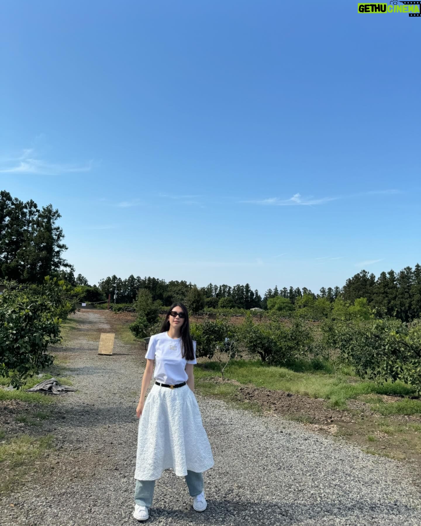 Kim Jin-kyung Instagram - 비오기 전에 탈출하라 우당탕탕 제주🏝️