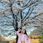 Kim Jin-kyung Instagram - 드디어 제대로 본 벚꽃엔딩🌸💕🌸