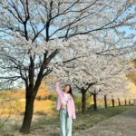 Kim Jin-kyung Instagram - 드디어 제대로 본 벚꽃엔딩🌸💕🌸