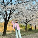 Kim Jin-kyung Instagram - 드디어 제대로 본 벚꽃엔딩🌸💕🌸