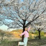 Kim Jin-kyung Instagram - 드디어 제대로 본 벚꽃엔딩🌸💕🌸