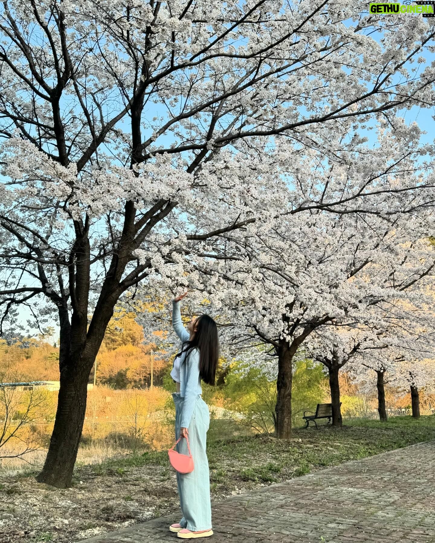 Kim Jin-kyung Instagram - 드디어 제대로 본 벚꽃엔딩🌸💕🌸