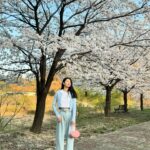 Kim Jin-kyung Instagram - 드디어 제대로 본 벚꽃엔딩🌸💕🌸