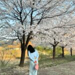 Kim Jin-kyung Instagram - 드디어 제대로 본 벚꽃엔딩🌸💕🌸
