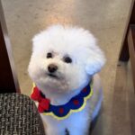 Kim Jung-eun Instagram - 😵