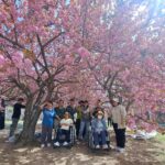 Kim Mi-kyeong Instagram - 불국사에서 만난 천사같은분들. '동해시 장애인 단기 보호센터' 에 계시는 분들이 왕벚꽃 나들이를 나오셨어요. 너무 반가워해 주시고 좋아해 주셔서 감사했습니다. 곱고 환한 벚꽃처럼 언제나 행복하시길 기원합니다. ♥️♥️♥️♥️♥️