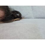Kim Min-ah Instagram - 술 먹고나면 알 수 없는 사진이 남아있음 #memory #where?
