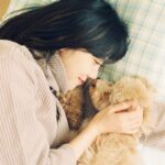 Kim Min-ah Instagram - 사실 제가 애는 없지만 개가 있거든요 그 개가 오늘 생일이고 이제 세 살.... 개 세........ #몽몽아사랑해 말좀잘듣자제발진짜엄마돌아버리겠다그래도사랑해진짜사랑한다돌아버리게사랑한다으아아아아아아하ㅎ하하핳ㅎㅎㅎ