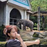 Kim Min-ah Instagram - 맥락 없는 사진전 #나는 #있음