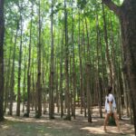 Kim Min-jung Instagram - . 이토록 보통의 , - SUMMER '23 with dear sis 🪻
