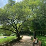Kim Min-jung Instagram - . 이토록 보통의 , -SUMMER '23-