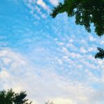 Kim Min-jung Instagram -