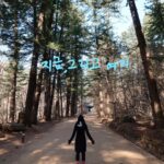 Kim Min-jung Instagram –