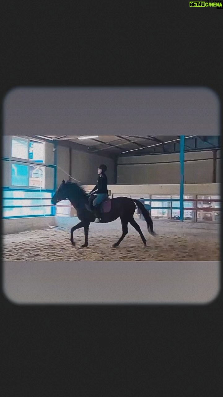 Kim Ok-vin Instagram - 오늘도 무서운 구보. 등에 식은 땀.