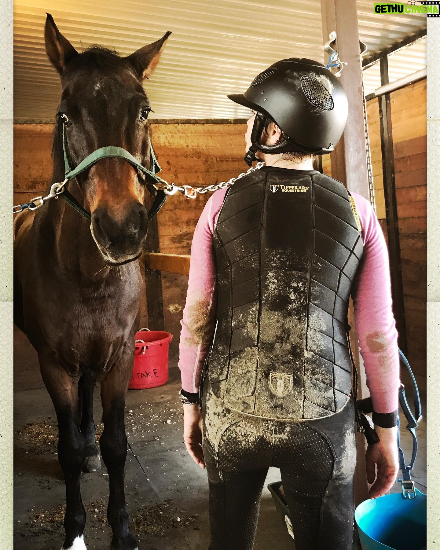 Kim Rhodes Instagram - More photos on my phone that make me smile. This horse has zero remorse.