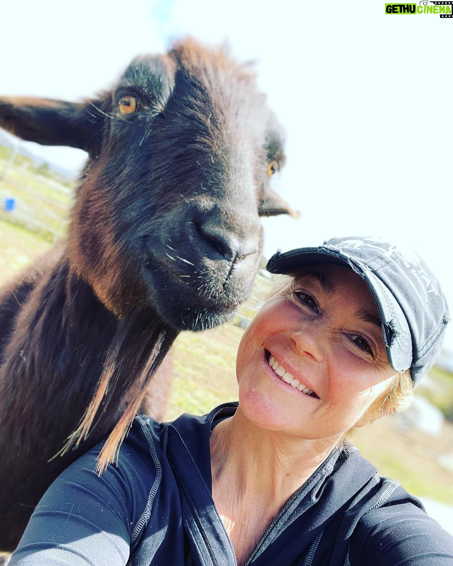 Kim Rhodes Instagram - Moments later, my hat was gone.