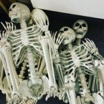 Kim Rhodes Instagram – I hate to put the Halloween decorations away. They look like they’re still having so much fun…