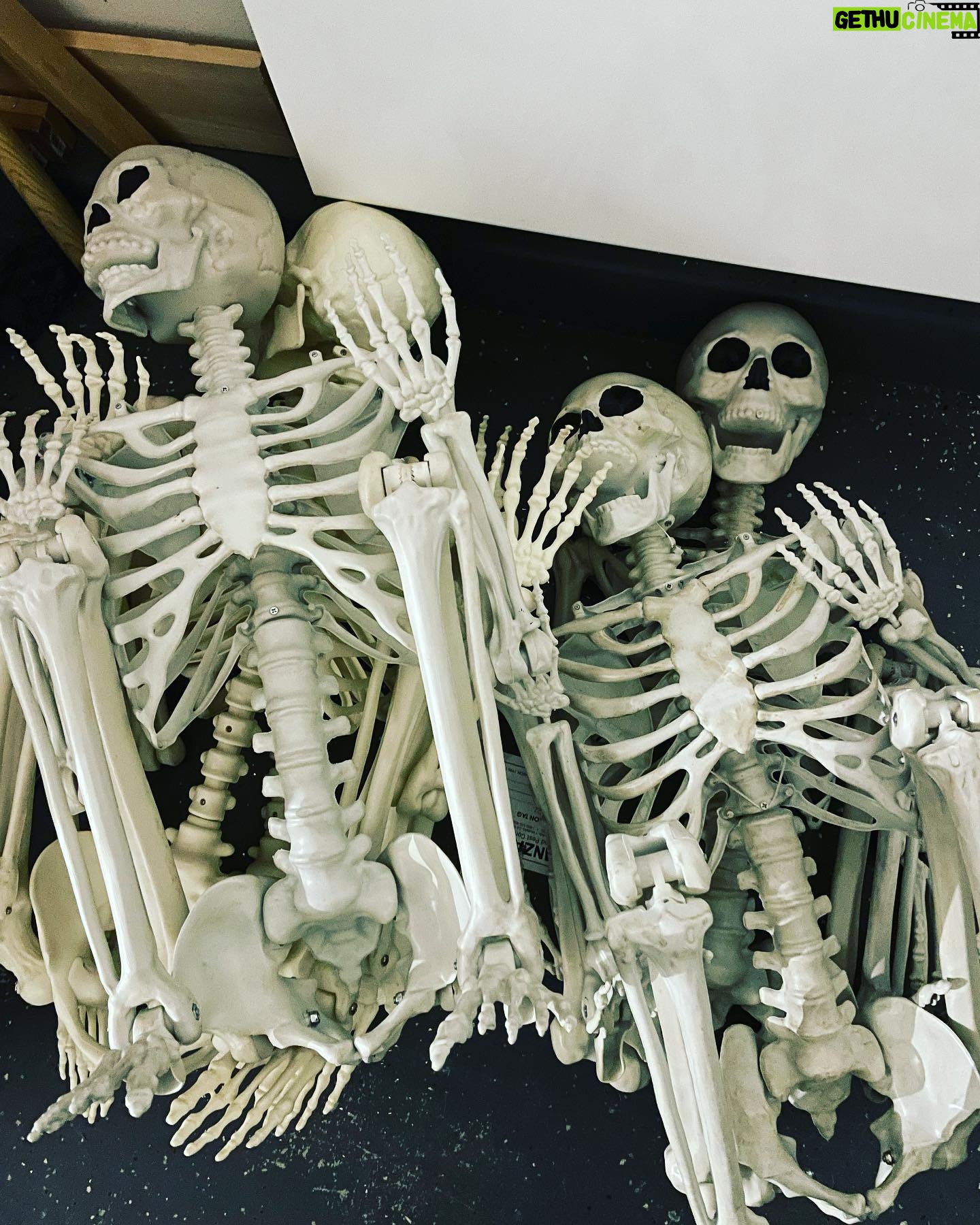 Kim Rhodes - 4.7K Likes - I hate to put the Halloween decorations away. They look like they’re still having so much fun…